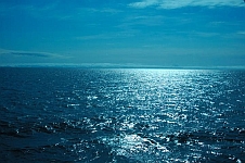 sea